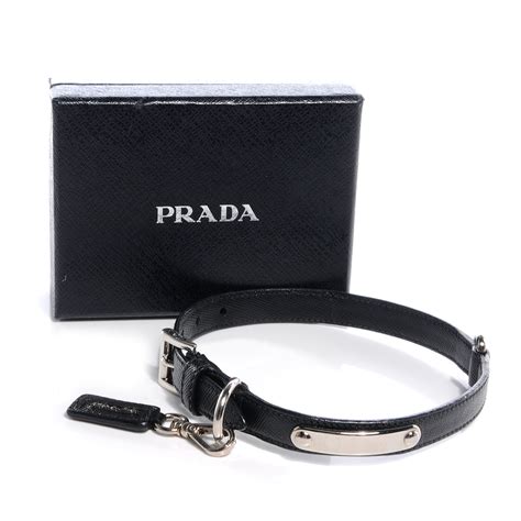 prada collare cane|Luxury Pet Accessories .